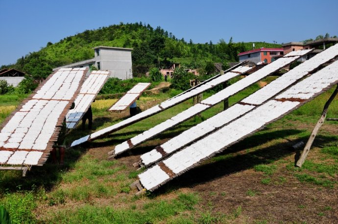 5b56f078ef7c6.jpg t08.jpg