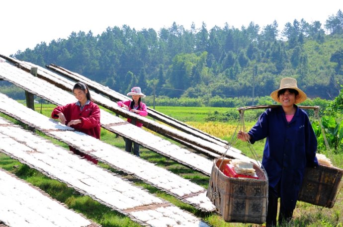 5b56f087be1a6.jpg t09.jpg