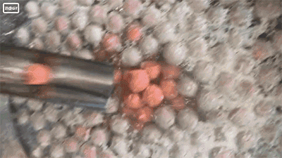 5bfe0ff82a167.gif 肉丸机.gif